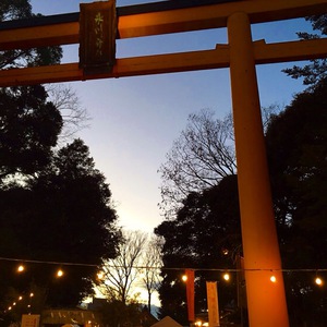 川越氷川神社でお参りしてきました♪