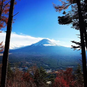 新屋山神社☆