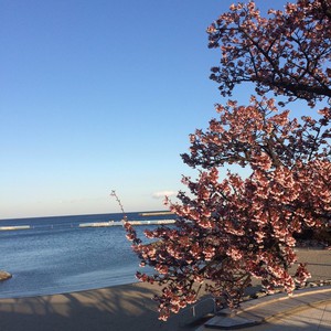 3月の定休日